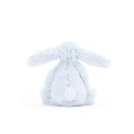 Bashful Blue Bunny