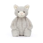 Bashful Grey Kitty