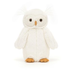 BAS3OWL_1__38367.1712307573-1.jpg