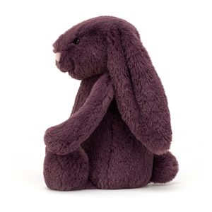 BAS3PLUM_1__16202.1712643462-1.jpg