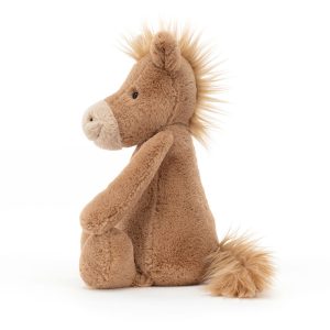 BAS3PONY_2__51579.1712643462.jpg