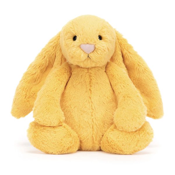 Bashful Sunshine Bunny