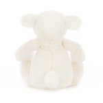 Bashful Lamb