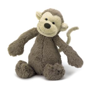 Little Bashful Monkey