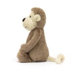 Bashful Monkey