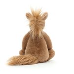 Bashful Pony