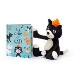 All Kinds of Cats Book