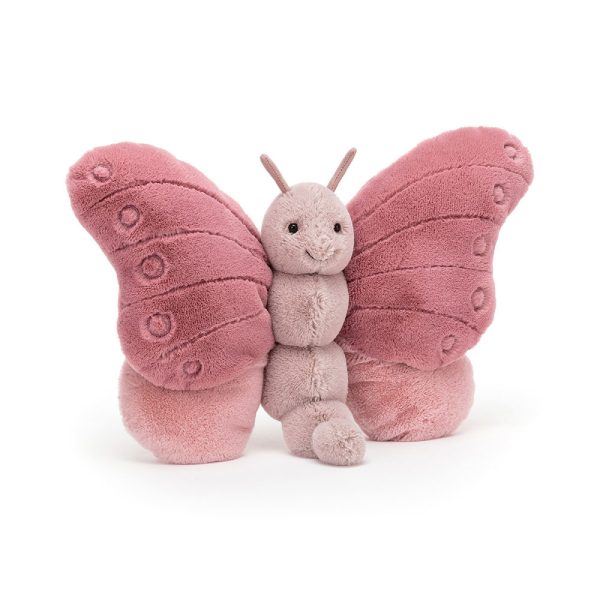 If I Were A Butterfly Book and Beatrice Butterfly