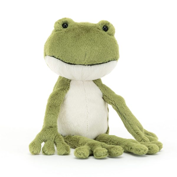 A Fantastic Day for Finnegan Frog Book and Finnegan Frog