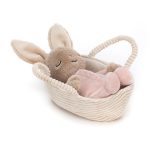 Goodnight Bunny Book and Rock-A-Bye Bunny